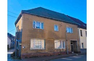 Mehrfamilienhaus kaufen in 06313 Ahlsdorf, Ahlsdorf - Haus zum Verkauf