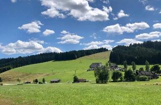 Haus kaufen in 79853 Lenzkirch, Lenzkirch - FERIENWOHNUNG IM HOCHSCHWARZWALD Nur ca. 75 Minuten von Zürich