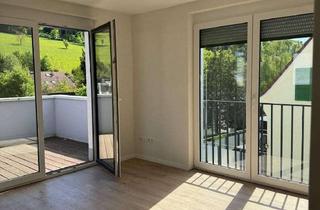 Wohnung kaufen in 79594 Inzlingen, KFW 55 Eigentumswohnung zwischen Lörrach und Schweizer Grenze I Einbauküche I sofort Verfügbar