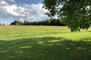 Wohnung mieten in Girayen, 88410 Bad Wurzach, Schöne, geräumige drei Zimmer Wohnung zwischen Bad Waldsee und Bad Wurzach im Grünen