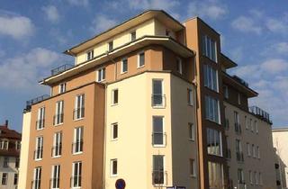 Wohnung mieten in Hepkestraße 54a, 01309 Gruna, NEU - Moderner und hochwertiger Neubau (KfW 70) zum Wohlfühlen mit Fernblick