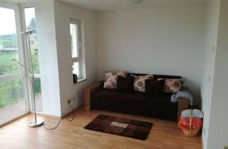 Wohnung mieten in Am Sachsenpark 26, 09669 Frankenberg, Günstige Singlewohnung mit Einbauküche!