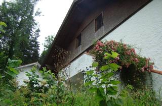 Wohnung mieten in Kapfweg, 87463 Dietmannsried, Wohnen mit Charakter: Gepflegtes Einzimmerapartment in Dietmannsried
