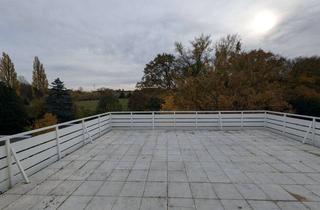 Wohnung mieten in 32457 Porta Westfalica, Helle 2-Zimmer-Wohnung mit Balkon und Einbauküche in Porta Westfalica