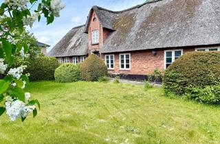 Haus kaufen in 25899 Niebüll, Uthländisches Friesenhaus unter Reet in Niebüll