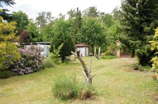 Haus kaufen in 02994 Bernsdorf, Wochenendgrundstück auf Bauland