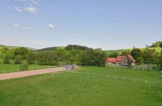 Haus kaufen in 59929 Brilon, Großzügiges Landanwesen mit weitläufigen Weideflächen und viel Privatsphäre