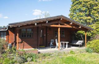 Haus kaufen in Veilchenweg 329, 38524 Sassenburg, Wochenendhaus am Bernsteinsee | Winterfestes Blockhaus mit 506 m² Grundstück