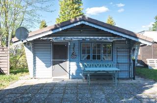 Haus kaufen in Finkenweg 57, 38524 Sassenburg, Ferienhaus am Bernsteinsee | Gemütliches Blockhaus auf 347 m² Grundstück