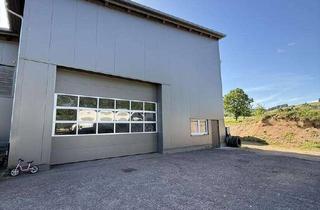 Gewerbeimmobilie kaufen in 79736 Rickenbach, Sahnestück - Moderne Gewerbehalle für Produktion und Logistik mit großem Ausbaupotenzial!