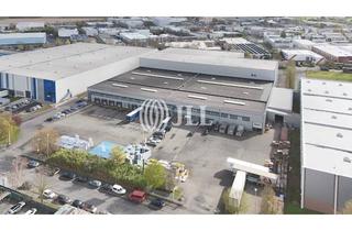 Gewerbeimmobilie mieten in 47877 Willich, Logistikhalle direkt an der A44 | Rampen | regaliert | provisionsfrei über JLL