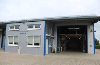 Büro zu mieten in Nikolaus-Otto-Str., 33178 Borchen, LLagerhalle Lagerfläche mit Büro Gewerbegeb. Borchen 365m²
