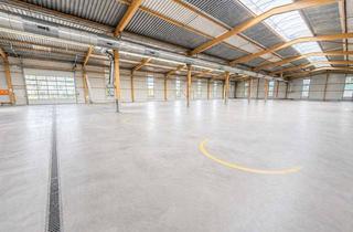 Gewerbeimmobilie mieten in 73650 Winterbach, renovierte & sanierte Lager- und Produktionshalle