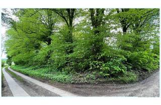 Grundstück zu kaufen in 24811 Brekendorf, Reizvolles ruhiges Baugrundstück mit 2 Abrisshäusern am Naturpark Hüttener Berge unweit zur A7 !