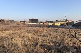 Grundstück zu kaufen in Buchenallee, 16359 Biesenthal, Baugrundstück ohne Bauträgerbindung in der Naturparkstadt Biesenthal zu verkaufen