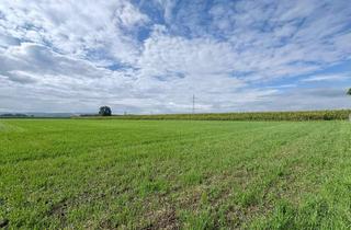 Grundstück zu kaufen in 84103 Postau, Bauen Sie Ihren Zweiseitenhof auf ca. 5.000 m² Grund – genehmigtes Konzept in ländlicher Traumlage
