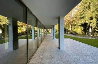 Büro zu mieten in Herbert-Hellmann-Allee, 79189 Bad Krozingen, Einzelhandels- oder Bürofläche mit großem Schaufenster direkt am Kurpark
