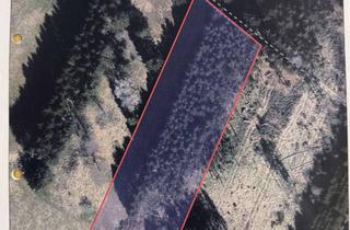 Gewerbeimmobilie kaufen in Auf Der Heide, 53945 Blankenheim, Wald- und Wiesenfläche mit ca. 7.500 m² in Blankenheim – vorhandener Holzbestand