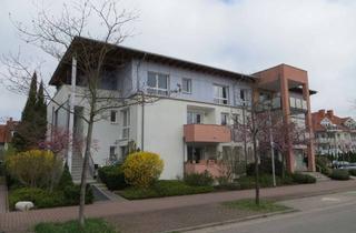Wohnung mieten in 63128 Dietzenbach, helle traumhafte Dachgeschoss-Wohnung in Dietzenbach-Steinberg