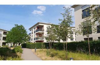 Wohnung mieten in 93049 Westenviertel, Helle 3-Zimmer-Wohnung mit Loggia im DÖRNBERG