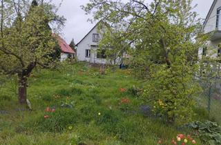 Einfamilienhaus kaufen in Wacholderheide 50, 12623 Mahlsdorf, Einfamilienhaus Grundstück 1019m2