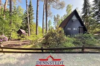 Haus kaufen in 29456 Hitzacker, Gemütliches Nur-Dach-Haus auf 564 m² Waldgrundstück – Ferienidylle bei Hitzacker (Elbe)