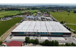Gewerbeimmobilie mieten in 87452 Altusried, Sofort Verfügbare Logistikneubauhalle in direkter Autobahnlage