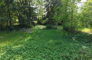 Grundstück zu kaufen in 16348 Wandlitz, Großes Baugrundstück für 2 EFH in Klosterfelde