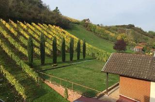 Wohnung mieten in 55299 Nackenheim, ImmobilienPunkt*** 3-ZKBB in toller Randlage mit Blick in die Weinberge!