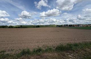 Gewerbeimmobilie kaufen in 82293 Mittelstetten, Verpachtete Ackerfläche 2,26 ha mit laufendem Pachtertrag – Mittelstetten (Lkr. Fürstenfeldbruck