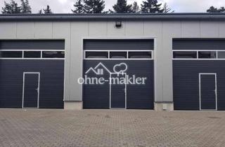 Gewerbeimmobilie mieten in 66877 Ramstein-Miesenbach, Kompakte Lagerhalle mit 55qm in zentraler Lage zu Vermieten!