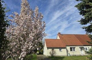 Haus kaufen in 04617 Haselbach, Kleines Haus - großer Garten!