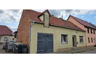 Einfamilienhaus kaufen in 06577 Heldrungen, An der Schmücke - Einfamilienhaus mit kl. Garten als Kapitalanlage o. Eigennutzung
