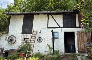 Haus kaufen in 64625 Bensheim, Bensheim - Haus mit Gemüsegarten und 2,4ha Wiesen für Naturverbundene