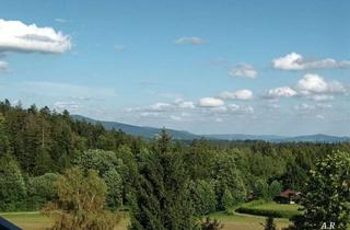 Wohnung kaufen in 94089 Neureichenau, Lichtdurchflutetes Appartement mit guter Ausstattung und Hallenbad in Neureichenau