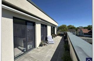 Wohnung mieten in 65795 Hattersheim, Hattersheim: zentrumsnah & verkehrsgünstig! 4 Zi. DG-Whg. mit RIESIGER Dachterrasse - (Whg. 8)