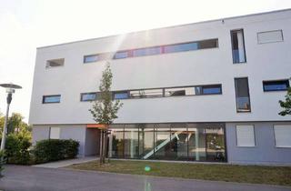 Wohnung mieten in 86157 Pfersee, +++ NEU am Markt: 1 ZKB-Wohnung mit Terrasse und Garten sowie TG-Stellplatz zur Miete +++