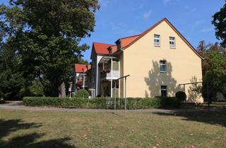 Wohnung mieten in Schwerinallee 21, 15806 Zossen, 2-Raumwohnung *SCHÖNER WOHNEN, NATURNAH UND ENTSPANNEND FÜR GEIST UND SEELE*