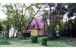 Wohnung mieten in Fontanestraße 10, 15806 Zossen, 3-Raumwohnung *SCHÖNER WOHNEN, NATURNAH UND ENTSPANNEND FÜR GEIST UND SEELE*