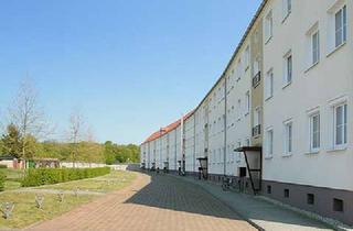 Immobilie mieten in Hamburger Str. 15, 06846 Ziebigk, Ruhiges Wohnen im Grünen