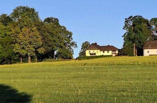 Einfamilienhaus kaufen in 95188 Issigau, Einzigartiges Naturparadies mit Weitblick: Anwesen in Ortsrandlage