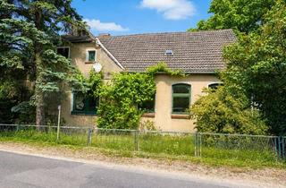 Haus kaufen in Hauptstraße 29, 17237 Blankensee, Sanierungsbedürftige alte Schule mit separatem Gästehaus in der Feldberger Seenlandschaft zu verkauf