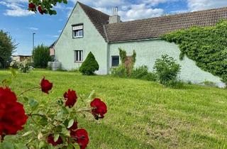 Einfamilienhaus kaufen in 06249 Mücheln, Einfamilienhaus mit großem Grundstück nahe Geiseltalsee – Sanierungsobjekt