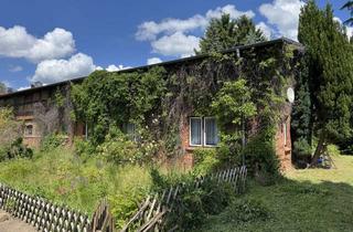 Bauernhaus kaufen in Schwarzer Weg, 23972 Dorf Mecklenburg, Charmantes Bauernhaus mit großem Grundstück und vielfältigen Nutzungsmöglichkeiten