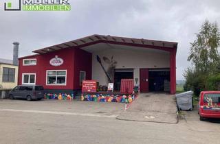 Büro zu mieten in 86470 Thannhausen, Produktions- und Lagerhalle mit Bürofläche zu vermieten