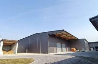 Gewerbeimmobilie mieten in In Den Dorfäckern, 89407 Dillingen, Effizient nutzbare Lagerhalle mit 2.474 m² in Dillingen a. d. Donau