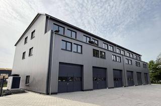 Büro zu mieten in 25358 Horst, Neubau-Gewerbeeinheit mit Halle und Büros - Innenausbau komplett flexibel