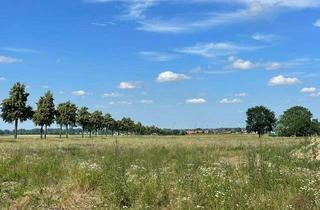 Grundstück zu kaufen in Bördering 30, 31174 Schellerten, Ottbergen: Grundstück in Feldrandlage