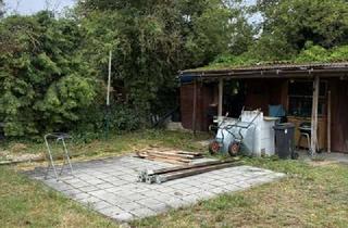 Grundstück zu kaufen in Mühlgärten 000, 68766 Hockenheim, Freizeitgrundstück/ Garten in Stadtnähe Hockenheim