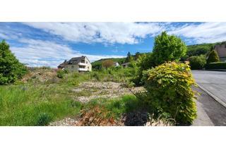 Grundstück zu kaufen in Ellierode, Ahornweg 11, 37181 Hardegsen, Größerer Bauplatz im Bestand, Hardegsen-Ellierode